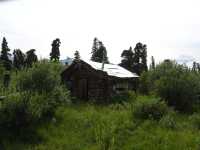 Abandoned cabin